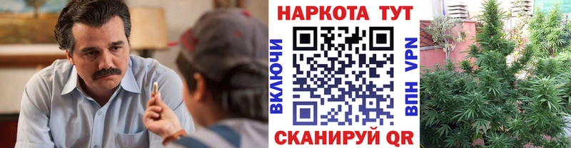 Наркошоп купить КОКАИН  Мефедрон  Псилоцибиновые грибы  Канабис  Яхрома
