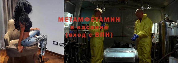 прущие грибы Лабытнанги