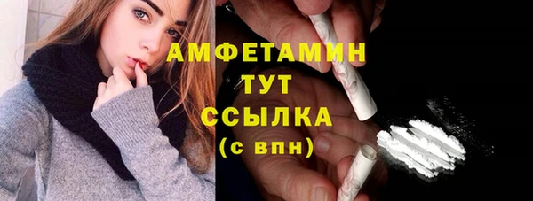 твердый Кулебаки