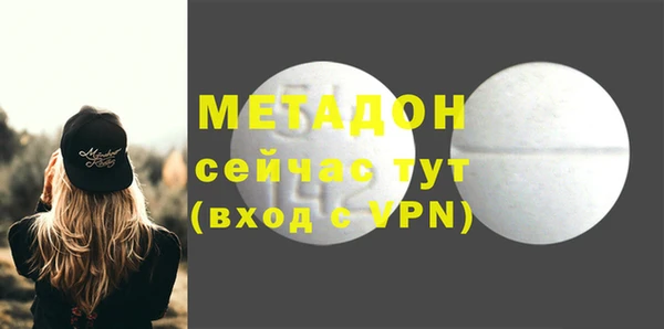 прущие грибы Лабытнанги