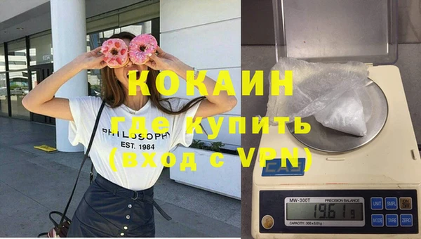 твердый Кулебаки