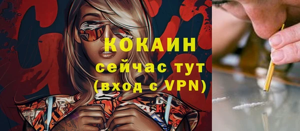 прущие грибы Лабытнанги